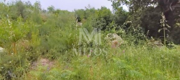 Земельный участок 1200м² в Каминья, Португалия № 80744 3