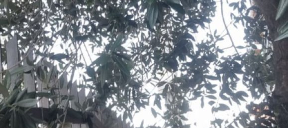 2-salle Appartement à Collegno, Italy No. 277348 5