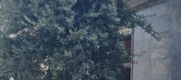 2-salle Appartement à Collegno, Italy No. 277348 9