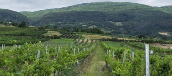 2غرفة قطعة أرض في Traiskirchen, Austria رقم 193667 2