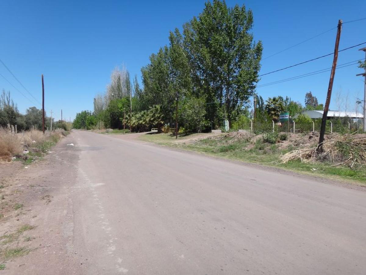  Land in Mendoza, Argentina No. 49247