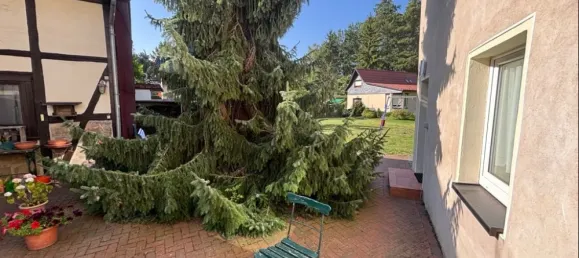 3 غرف نوم تاون هاوس في Harz, Germany رقم 349039 17