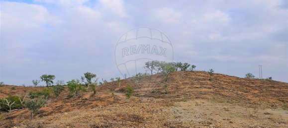 150000m² Commercial property in Sao Martinho das Amoreiras, Portugal No. 50181 2