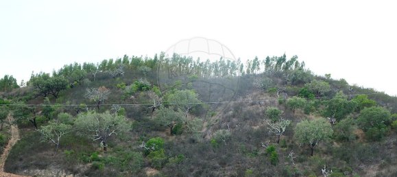 150000m² Commercial property in Sao Martinho das Amoreiras, Portugal No. 50181 8