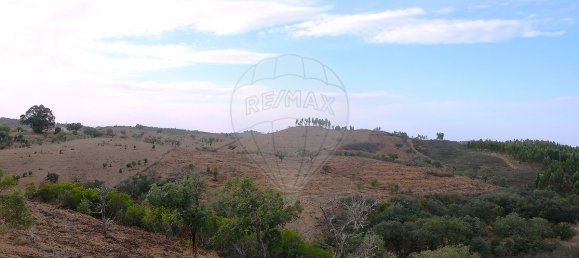 150000m² Commercial property in Sao Martinho das Amoreiras, Portugal No. 50181 6