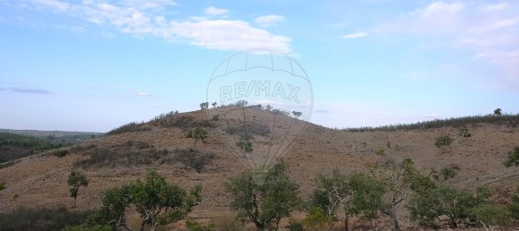 150000m² Commercial property in Sao Martinho das Amoreiras, Portugal No. 50181 4