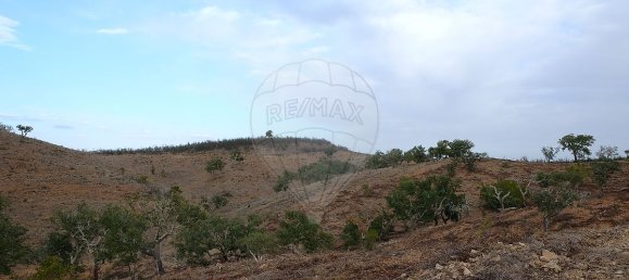 150000m² Commercial property in Sao Martinho das Amoreiras, Portugal No. 50181 3