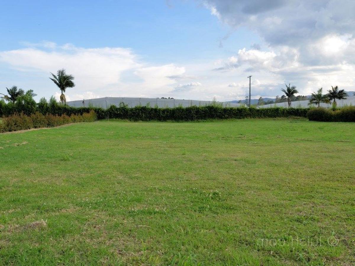 Terrain à Antioquia, Colombia No. 267