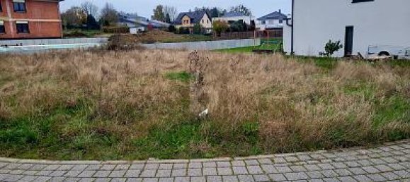 Земельный участок 598м² в Рейнланд-Пфальц, Германия № 225153 2