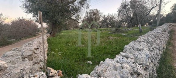 6300m² Land in Carovigno, Italy No. 150836 9