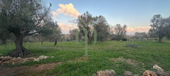 6300m² Land in Carovigno, Italy No. 150836 8