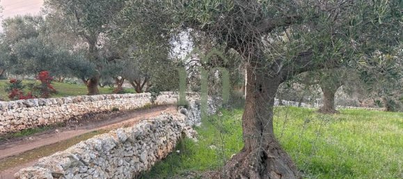 6300m² Land in Carovigno, Italy No. 150836 4