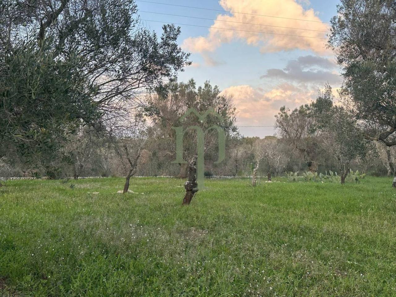 6300m² Land in Carovigno, Italy No. 150836