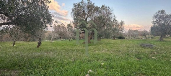 6300m² Land in Carovigno, Italy No. 150836 11