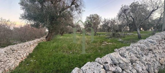 6300m² Land in Carovigno, Italy No. 150836 2