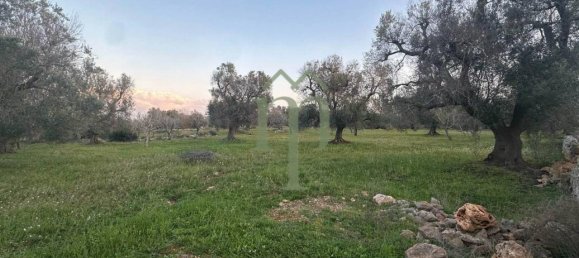 6300m² Land in Carovigno, Italy No. 150836 6