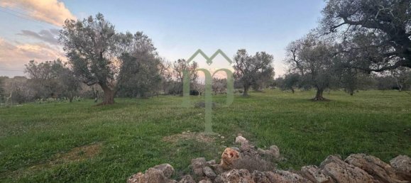 6300m² Land in Carovigno, Italy No. 150836 3
