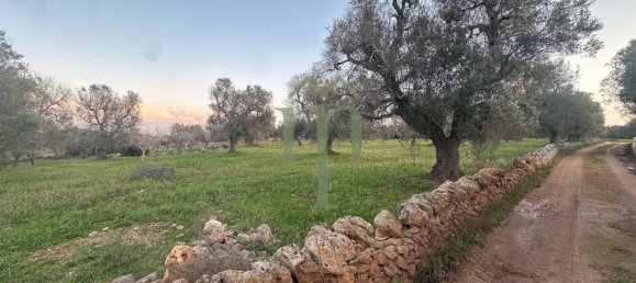 6300m² Land in Carovigno, Italy No. 150836 10