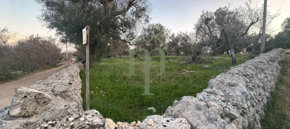 6300m² Land in Carovigno, Italy No. 150836 12