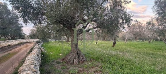 6300m² Land in Carovigno, Italy No. 150836 7