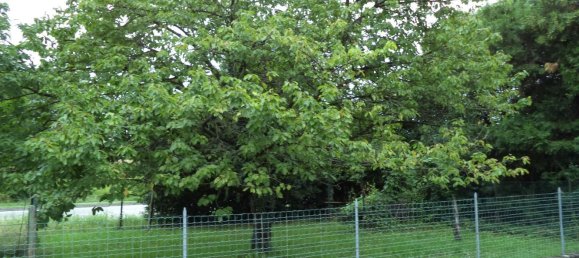 Дом с 9 комнатами в Удине, Италия № 267003 15