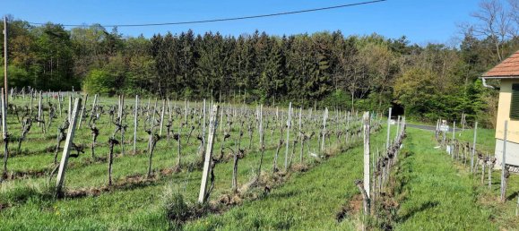 2 rooms Land in Deutsch Schutzen-Eisenberg, Austria No. 255353 22