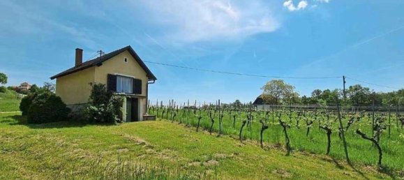 2 rooms Land in Deutsch Schutzen-Eisenberg, Austria No. 255353 3