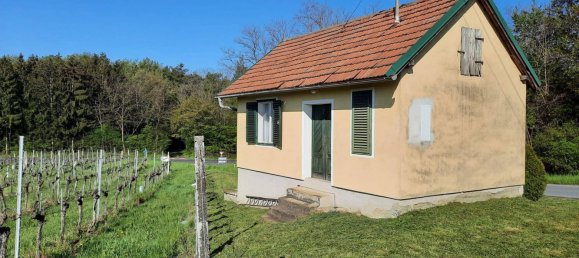 2 rooms Land in Deutsch Schutzen-Eisenberg, Austria No. 255353 8