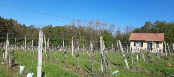 2 rooms Land in Deutsch Schutzen-Eisenberg, Austria No. 255353 24