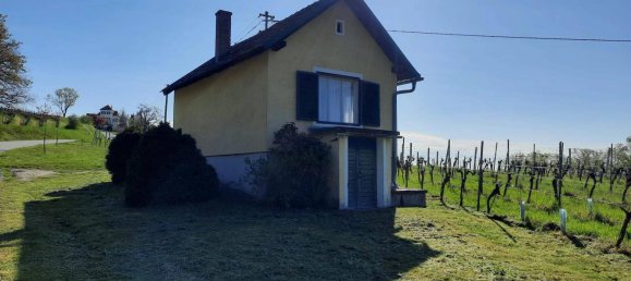 2 rooms Land in Deutsch Schutzen-Eisenberg, Austria No. 255353 4