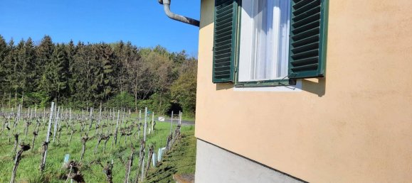 2 rooms Land in Deutsch Schutzen-Eisenberg, Austria No. 255353 7