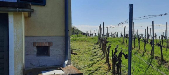 2 rooms Land in Deutsch Schutzen-Eisenberg, Austria No. 255353 12