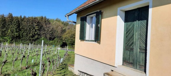 2 rooms Land in Deutsch Schutzen-Eisenberg, Austria No. 255353 9