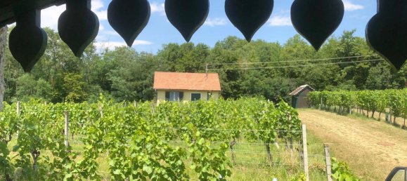 2 rooms Land in Deutsch Schutzen-Eisenberg, Austria No. 255353 25