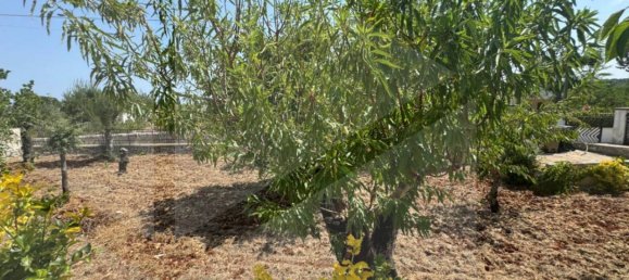 Вилла с 3 комнатами в Монополи, Италия № 28765 23