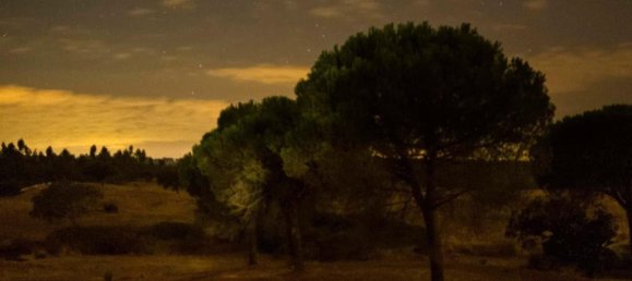 8 Schlafzimmer Haus in Grandola, Portugal, Nr. 48664 35