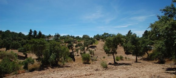 Grundstück in Sao Bras de Alportel, Portugal 260m², Nr. 225159 17