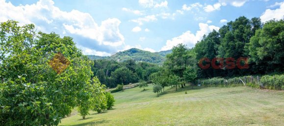 5 rooms Villa in Castelnuovo di Garfagnana, Italy No. 277224 10