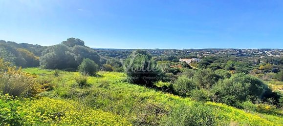 Grundstück in Cadiz, Spain 2690m², Nr. 29382 7