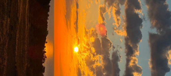 2 bedrooms Apartment in Alicante, Spain No. 181534 29