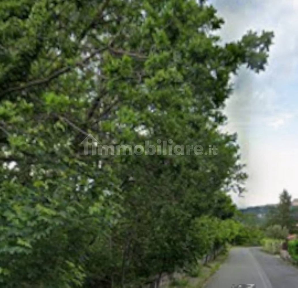 1 Schlafzimmer Wohnung in Marano Principato, Italy, Nr. 343650