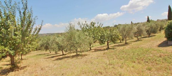 10-Zimmer Haus in Scansano, Italy, Nr. 199051 19