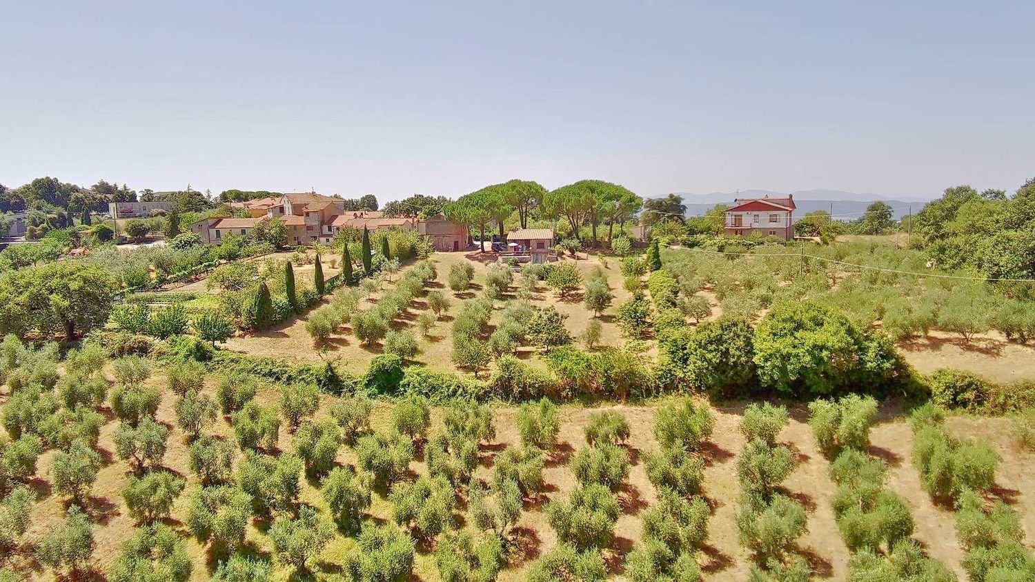 10-Zimmer Haus in Scansano, Italy, Nr. 199051