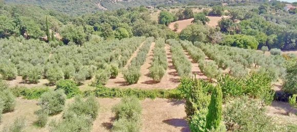 10-Zimmer Haus in Scansano, Italy, Nr. 199051 3