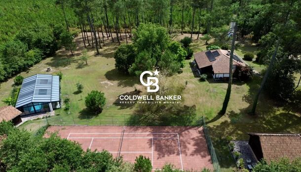 7 rooms House in Rion-des-Landes, France No. 299493