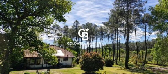 7 rooms House in Rion-des-Landes, France No. 299493 2