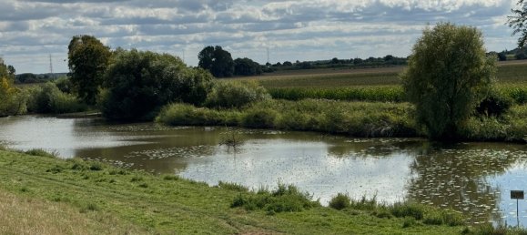 4غرفة منزل في Pinneberg, Germany رقم 304231 10