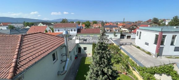 Propiedad comercial en Kottingbrunn, Austria 1335 m² No. 133595 4