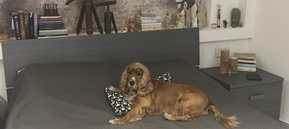 6غرفة شقة في Santa Maria Capua Vetere, Italy رقم 254497 10