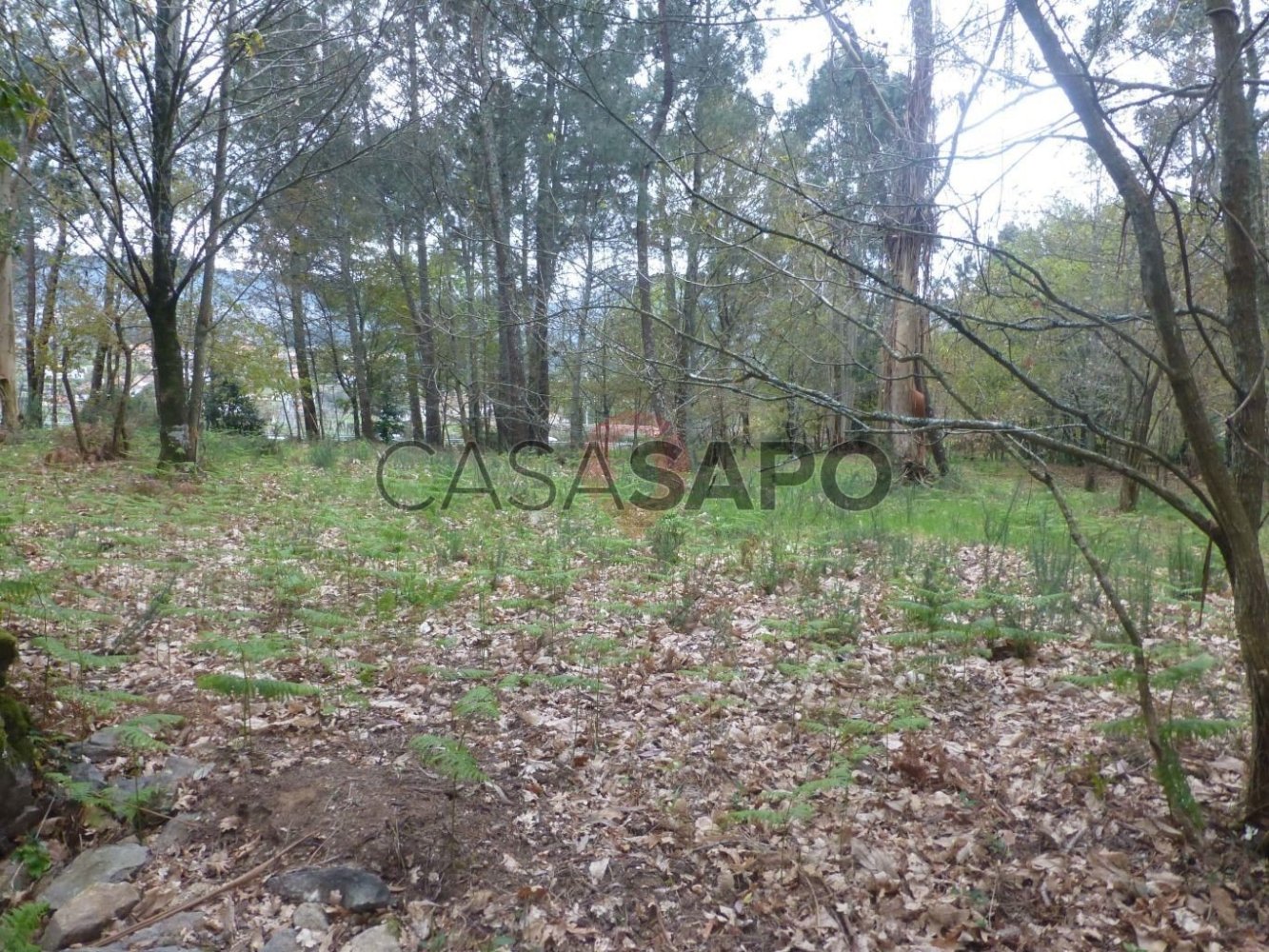 Grundstück in Melgaco, Portugal, Nr. 328033